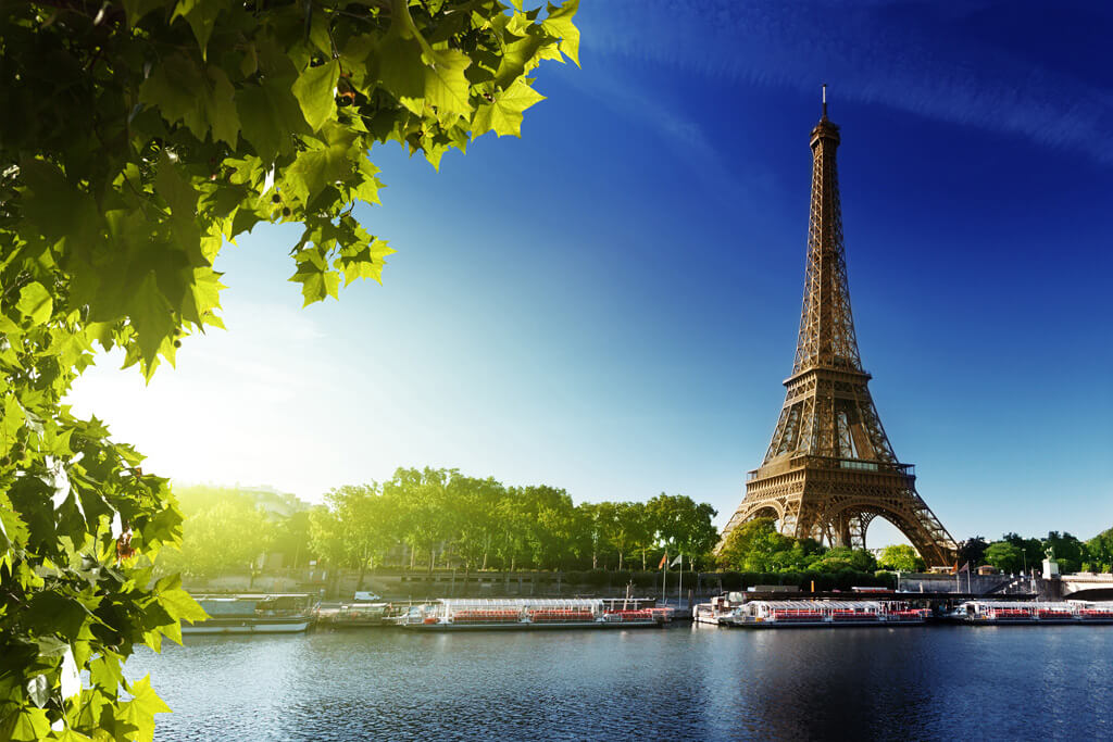 pet transport France to Netherlands