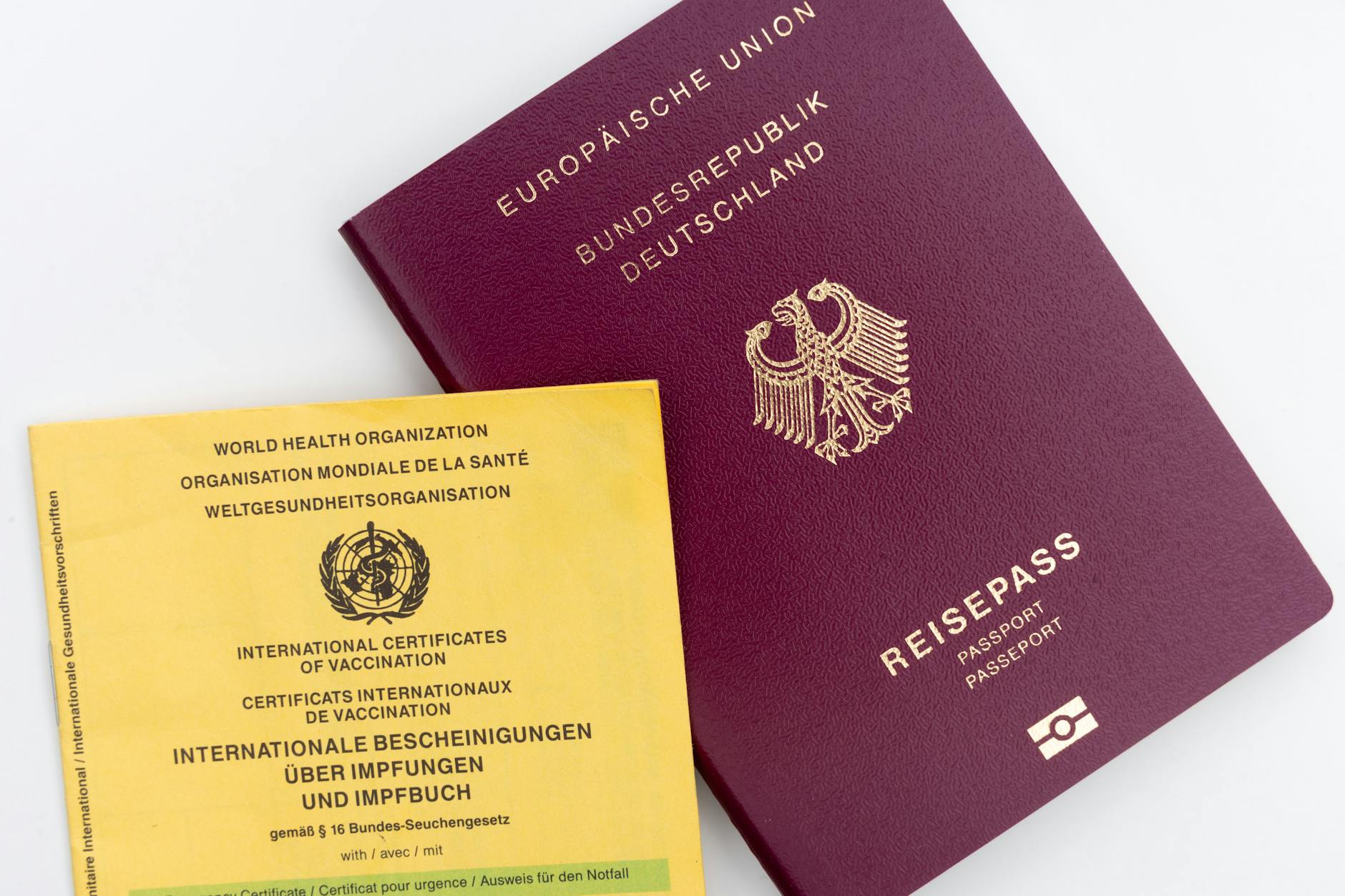 Pet passports to make a comeback following UK-EU deal