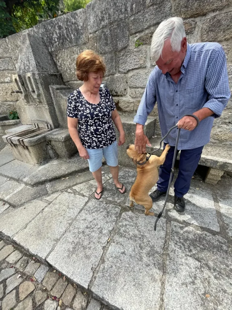 Goku's grote avontuur: van Nederland naar Portugal πΎπ³π±β‘οΈπ΅πΉ 5 PHOTO 2026 05 26 16 49 59