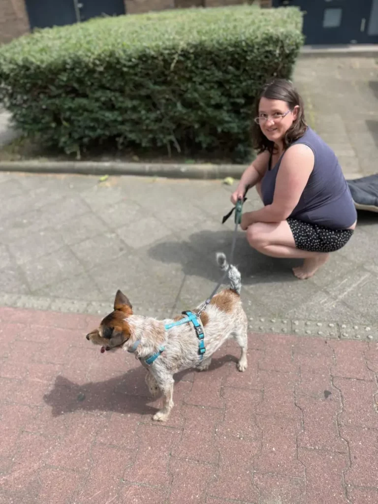 Elke geur vertelt een verhaal: Cookies reis door Europa 🐾 5 PHOTO 2026 05 30 15 22 222