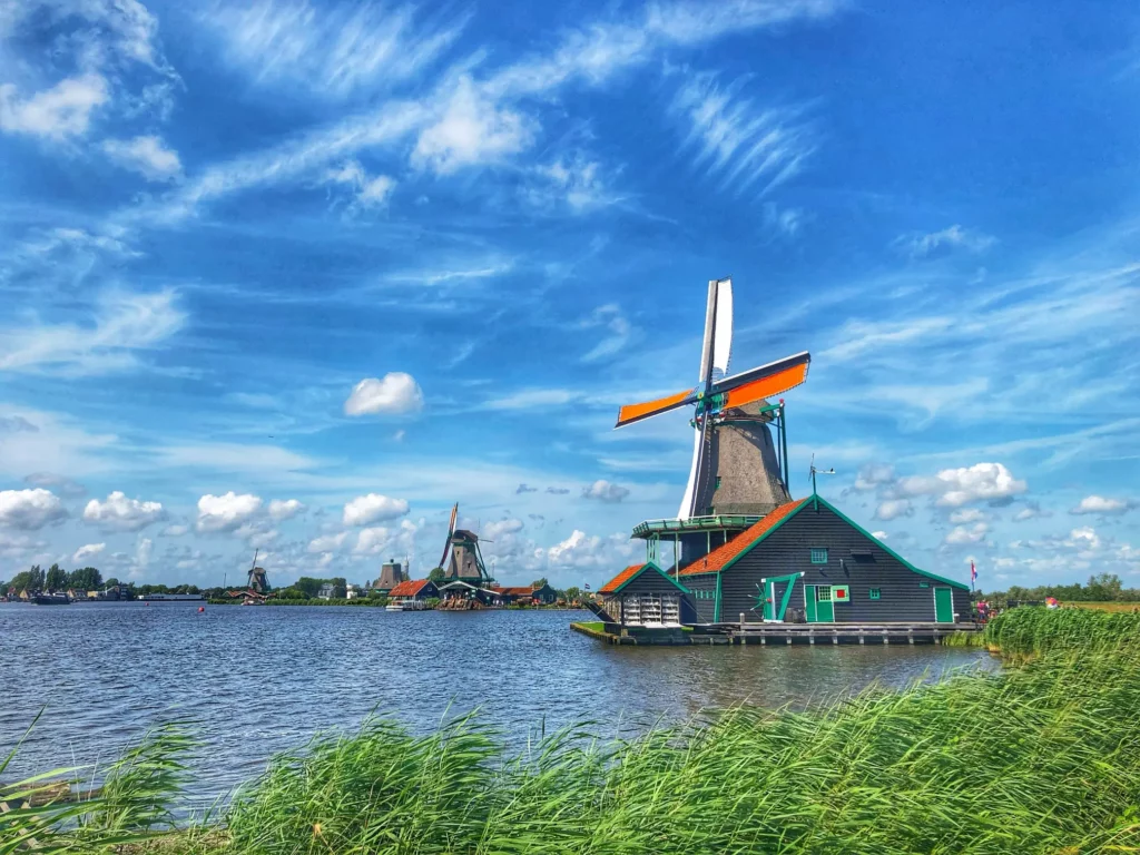 Huisdiervervoer Nederland